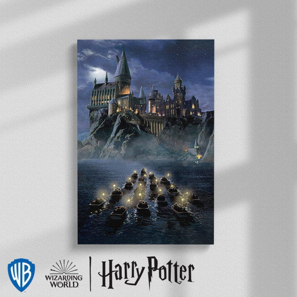 Картина Гарри Поттер: Прибытие в Хогвартс