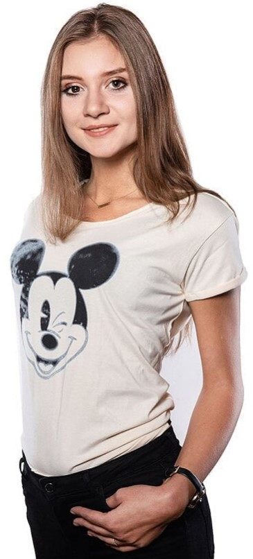   Disney: Mickey Blinking  (M) + Wolfenstein  (M)