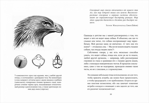 Удивительный мир птиц: Легко ли быть птицей?