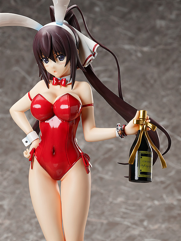 ������� Infinite Stratos: Houki Shinonono � Bare Leg Bunny Ver. (45 ��)