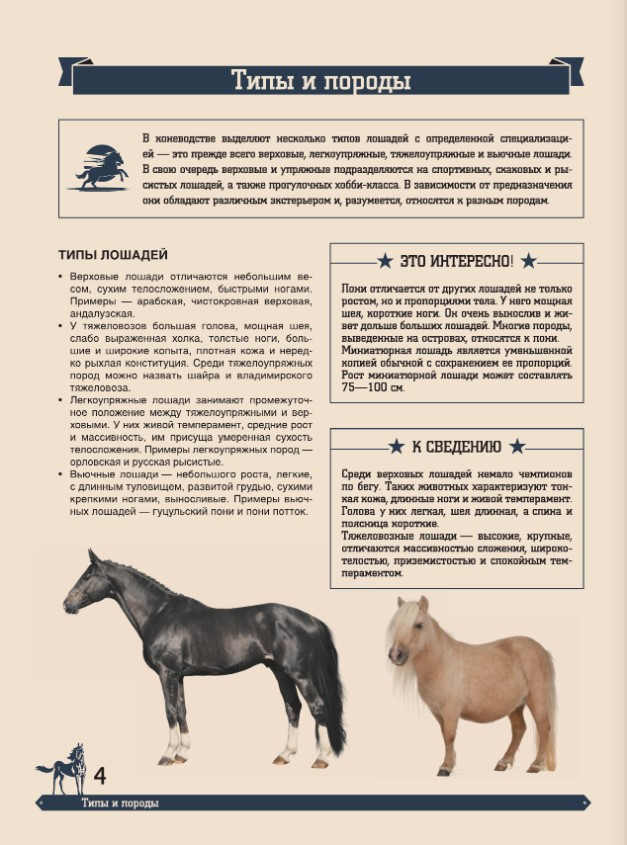 ������� ������������: ������