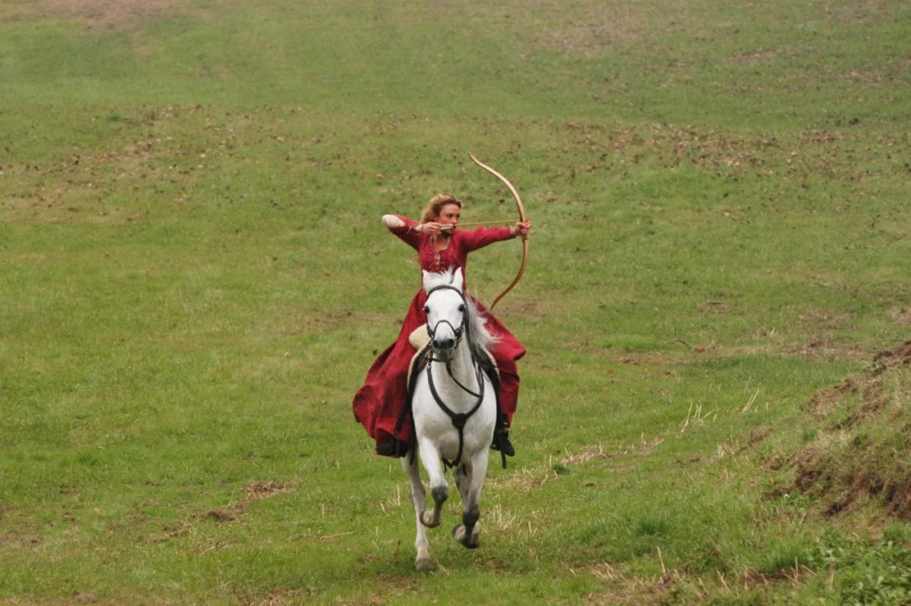 ������ ������ (DVD)