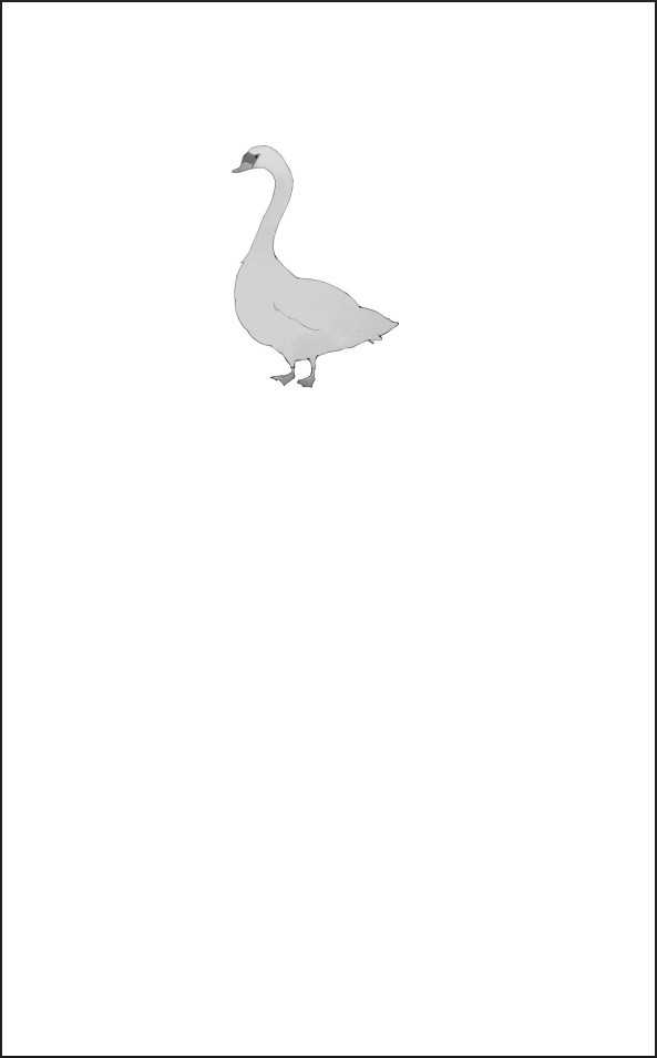 ������� ���������� �� ��������: �����