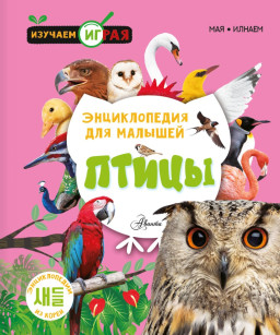 �����: ������������ ��� �������