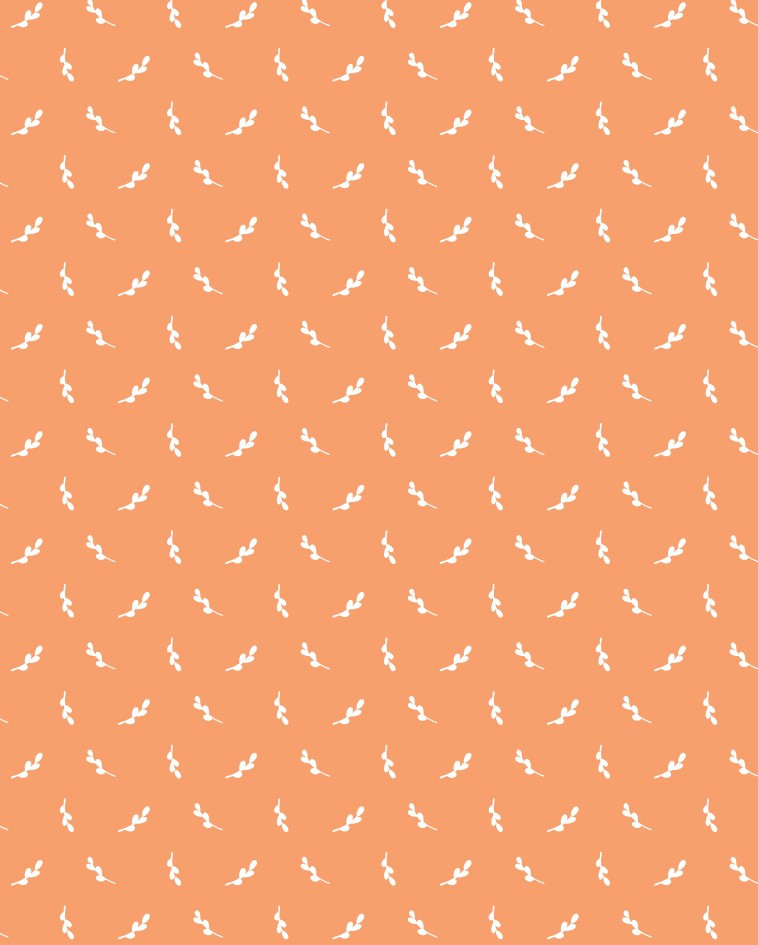 �� ������ � ������: �������� � �������� ��������