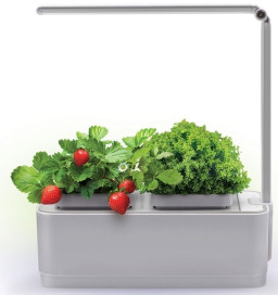 ���������� �����-��� iGarden LED (� ����������)