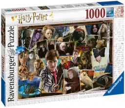  Harry Potter:     (1000 )