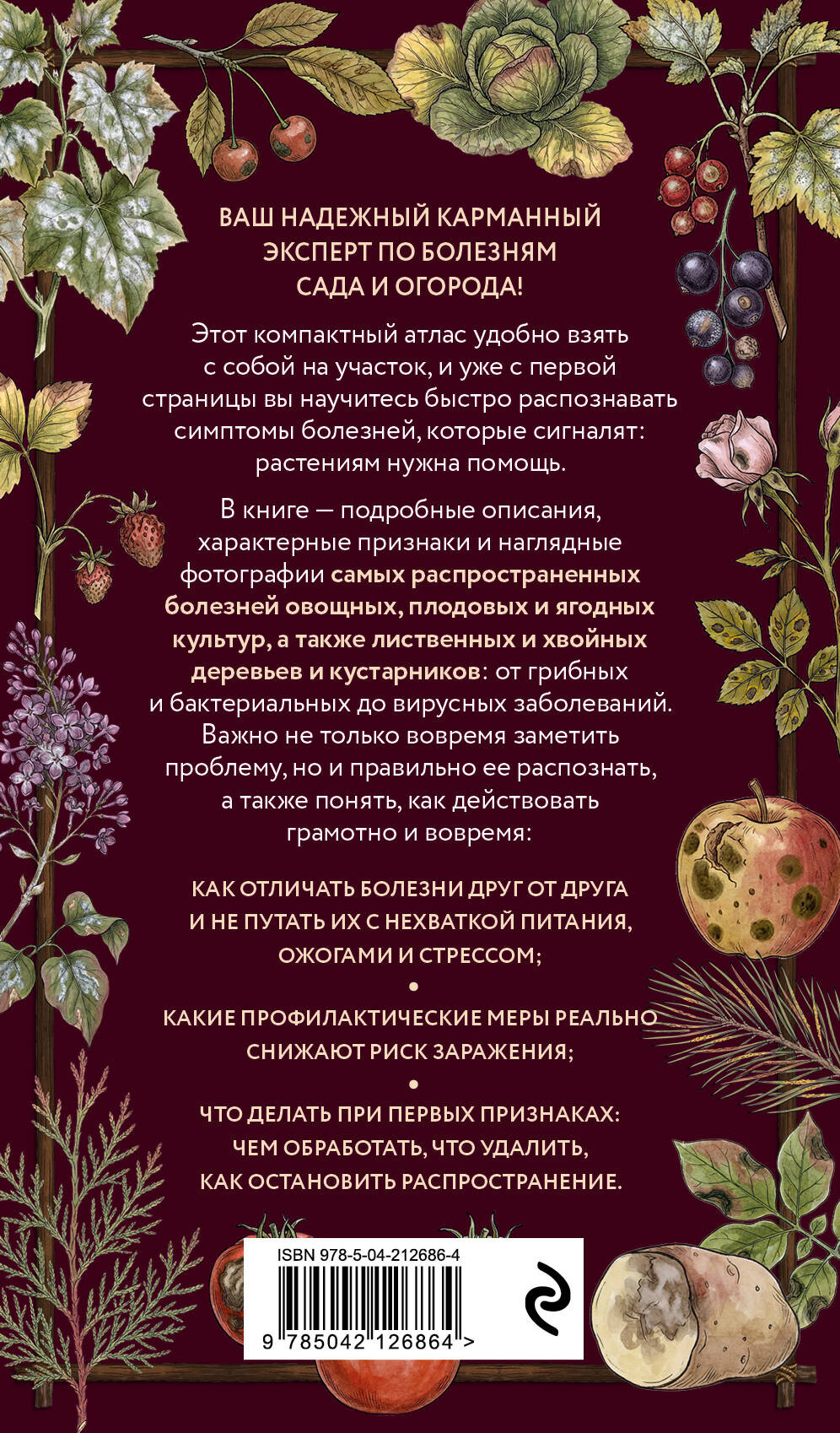 ������� ���� � �������: ��������� �����-������������