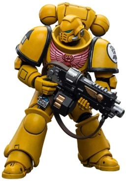 ������� Warhammer 40 000: Imperial Fists � Intercessors 1:18 (12 ��)
