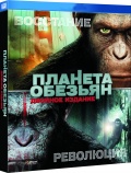  :  /    (2 DVD)