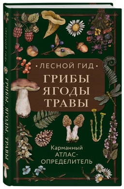 Лесной гид: грибы, ягоды, травы – Карманный атлас-определитель