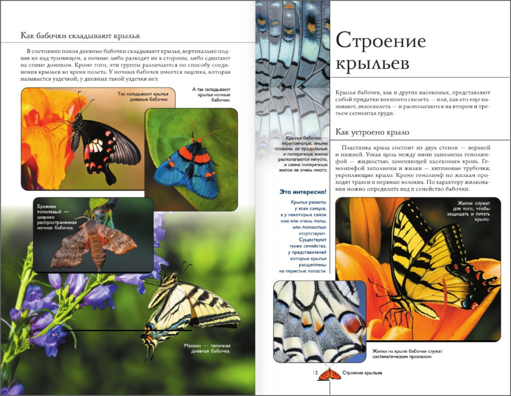 �������: ���������������� ���