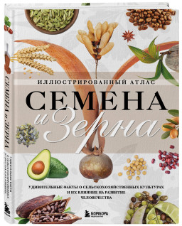 ������ � �����: ���������������� ����� � ������������ ����� � �������������������� ���������