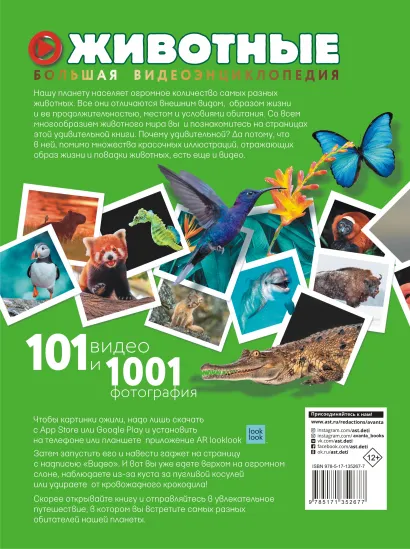 Животные: 101 видео и 1001 фотография