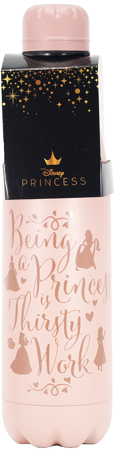 Бутылка Disney Princess: Thirsty Work Metal
