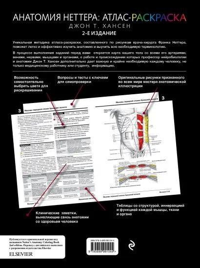 Анатомия Неттера: атлас-раскраска