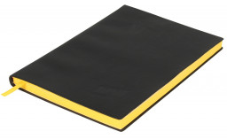 ���������� Natus Vincere