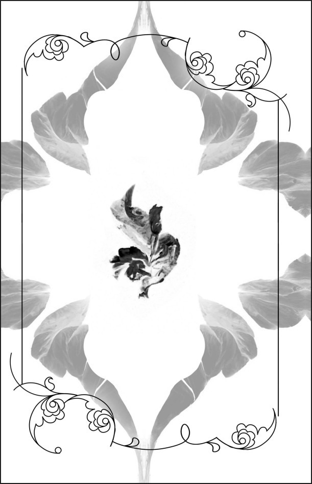 ������ �����: �����