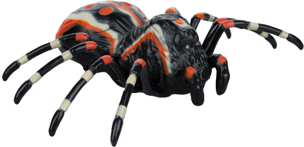 ������� ���� �� ���������� ����������