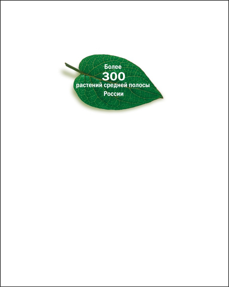 ������� ���������������� ������������ ������������� ��������