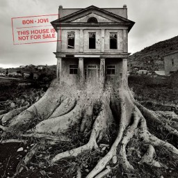 Bon Jovi. This House Is Not For Sale (LP)