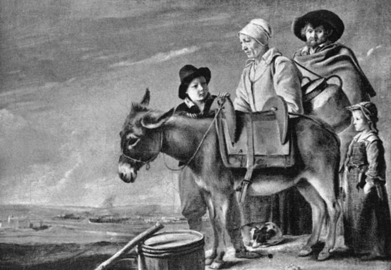 BBC: ��������� ������� �������� (3 DVD)