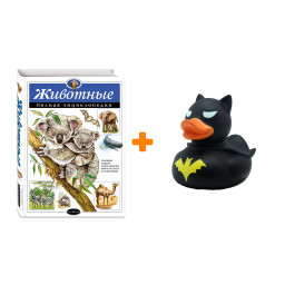 ����� ��������. ������ ������������. �.�. �������� + ������� ������ Ҹ���� �����