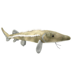 ������ ������� ���� (25 ��)