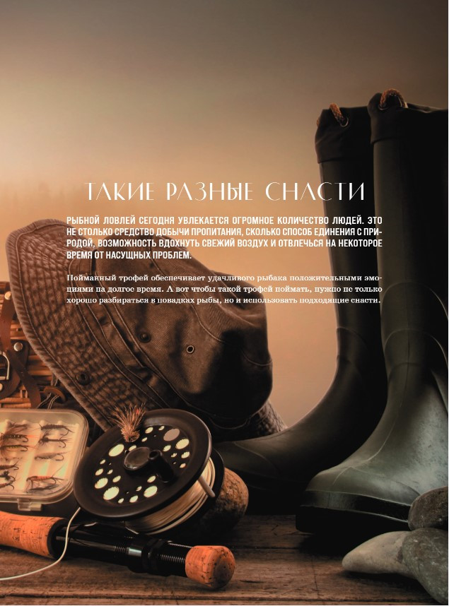 �������: ������ ������������ ������ �����