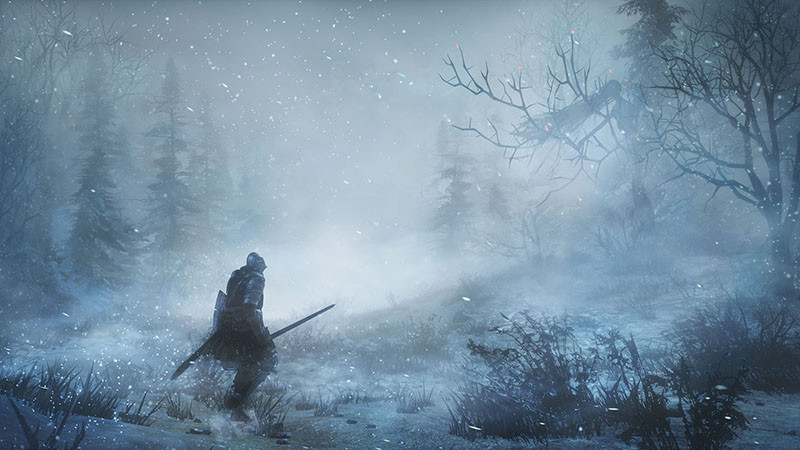 Dark Souls III: Ashes of Ariandel.  [PC,  ]