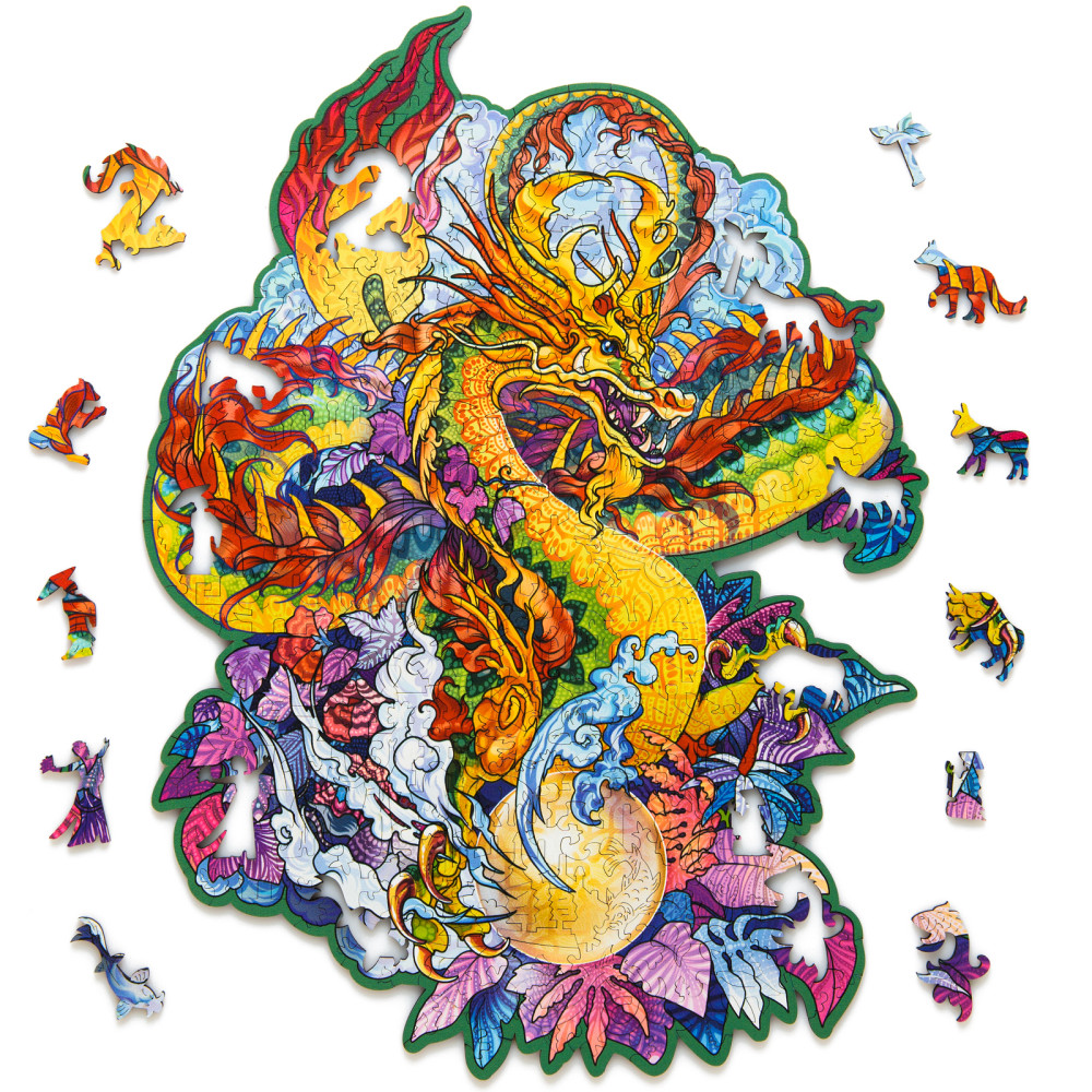 ���� ��������� ������ ����������