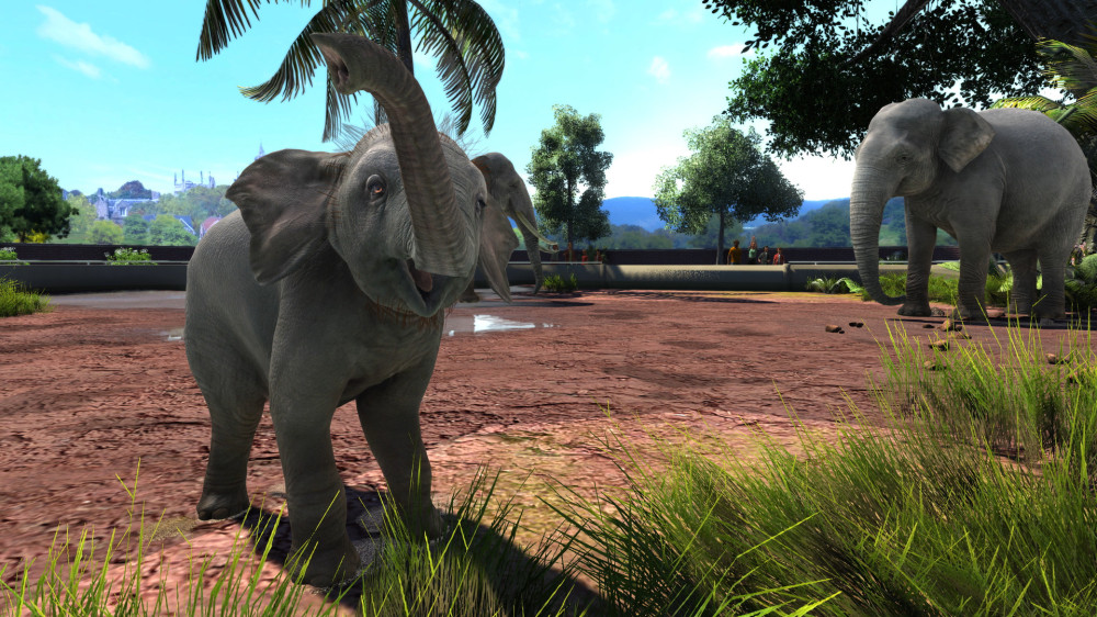 Zoo Tycoon: Ultimate Animal Collection [PC, �������� ������]