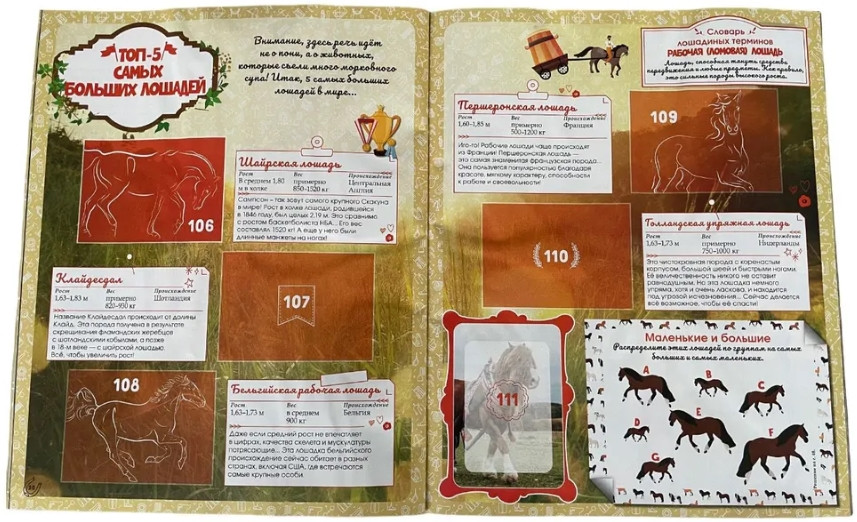    Horses / 
