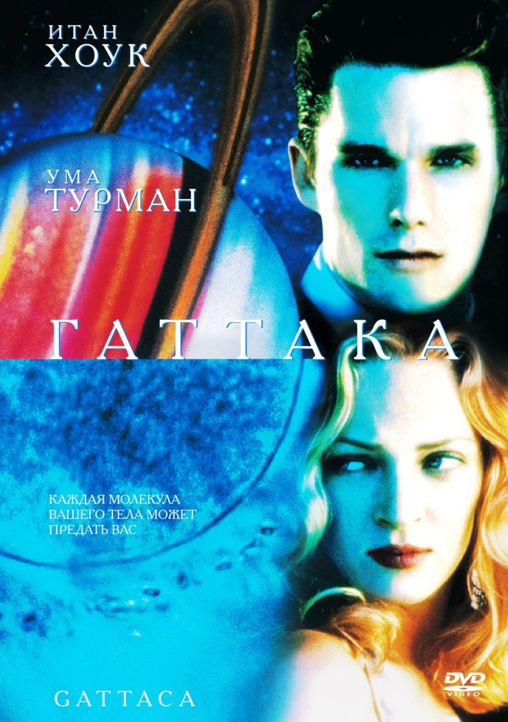   /  (2 DVD)