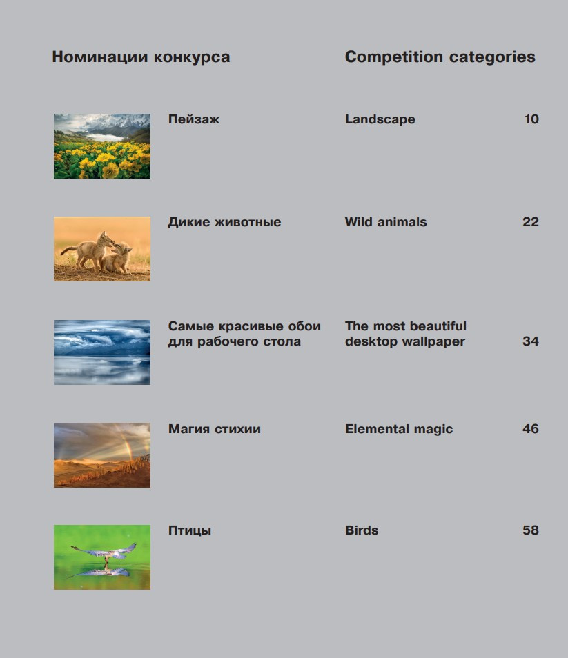 ������ ����� �������� ������: ����������� 2025