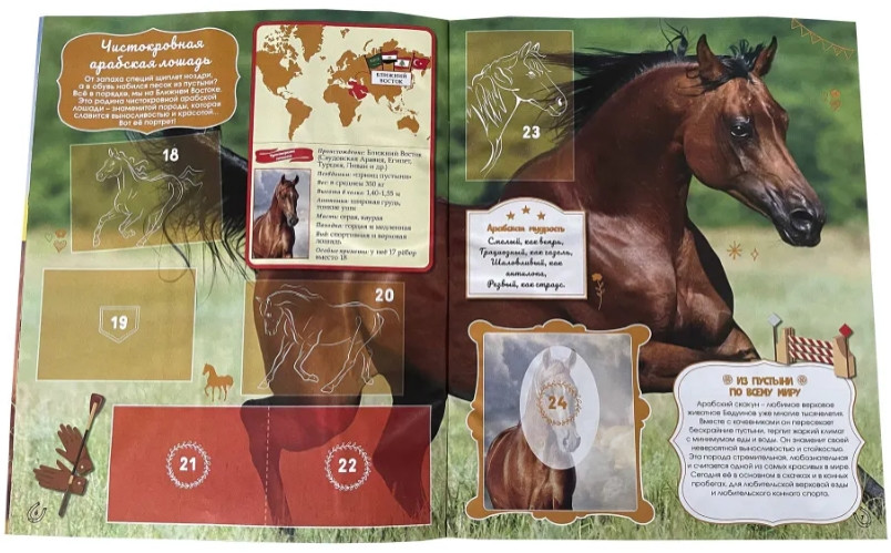   Horses / 