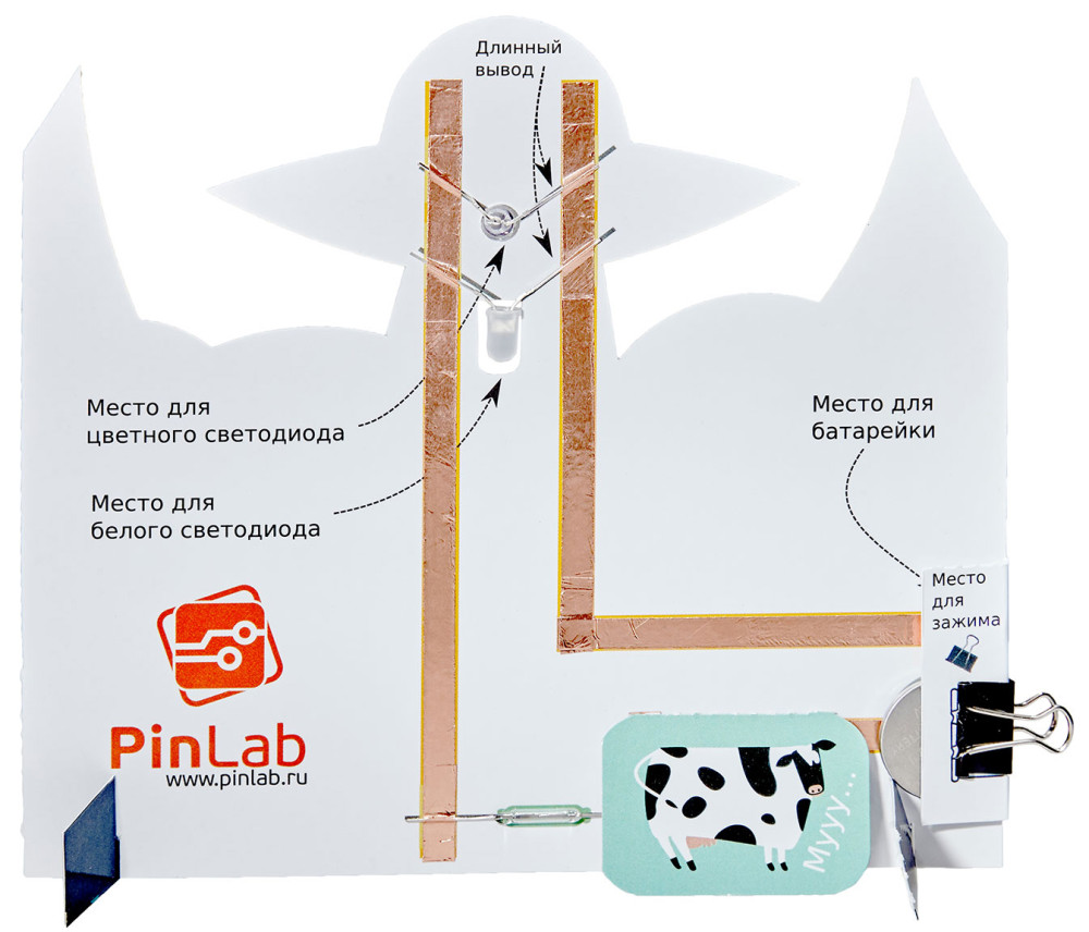 ����������� ����������� ���-���������� / ����������� ������