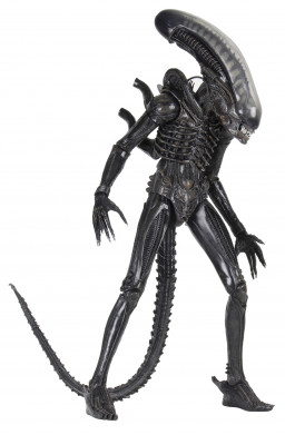  NECA: Aliens  40th Anniversary Big Chap (55 )