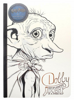  Harry Potter: Dobby