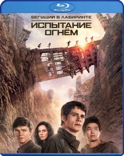   :   (Blu-ray)