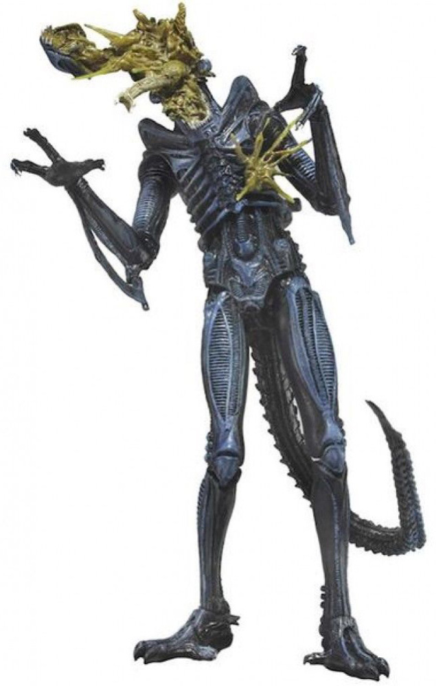  NECA: Aliens Series 12  Xenomorph Warrior Battle Damaged (Blue) (18 )