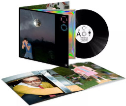 Harry Styles � Kiss All The Time: Disco, Occasionally (LP)