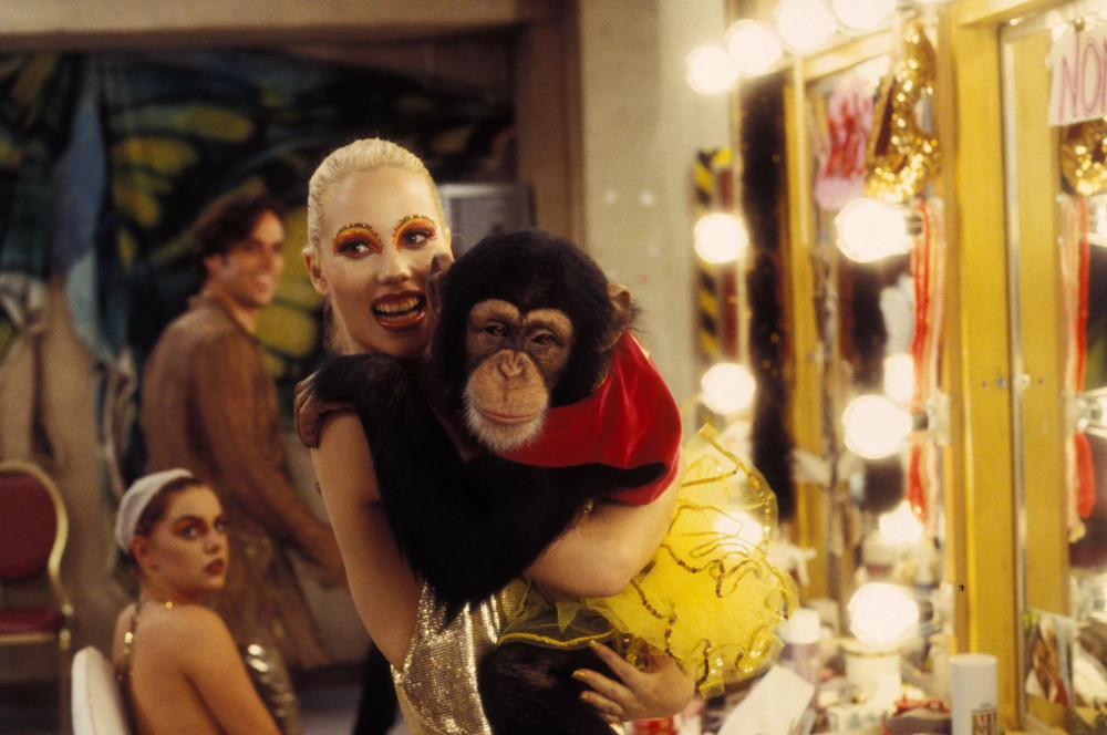 ������� (DVD)