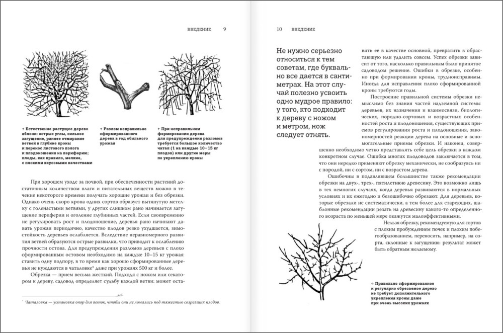 ������� ������� ��������: ���������� ����������� �� �������� ��������� ����