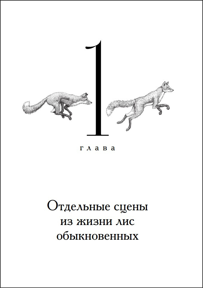 ���� �� ������ ���