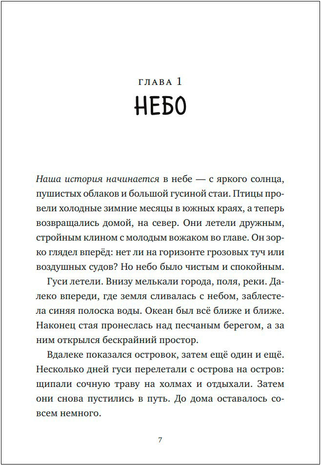    ( )