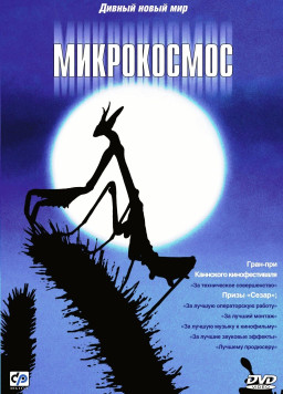 ����������� (DVD)