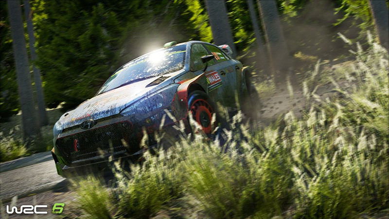 WRC 6 FIA World Rally Championship [PC-Jewel]