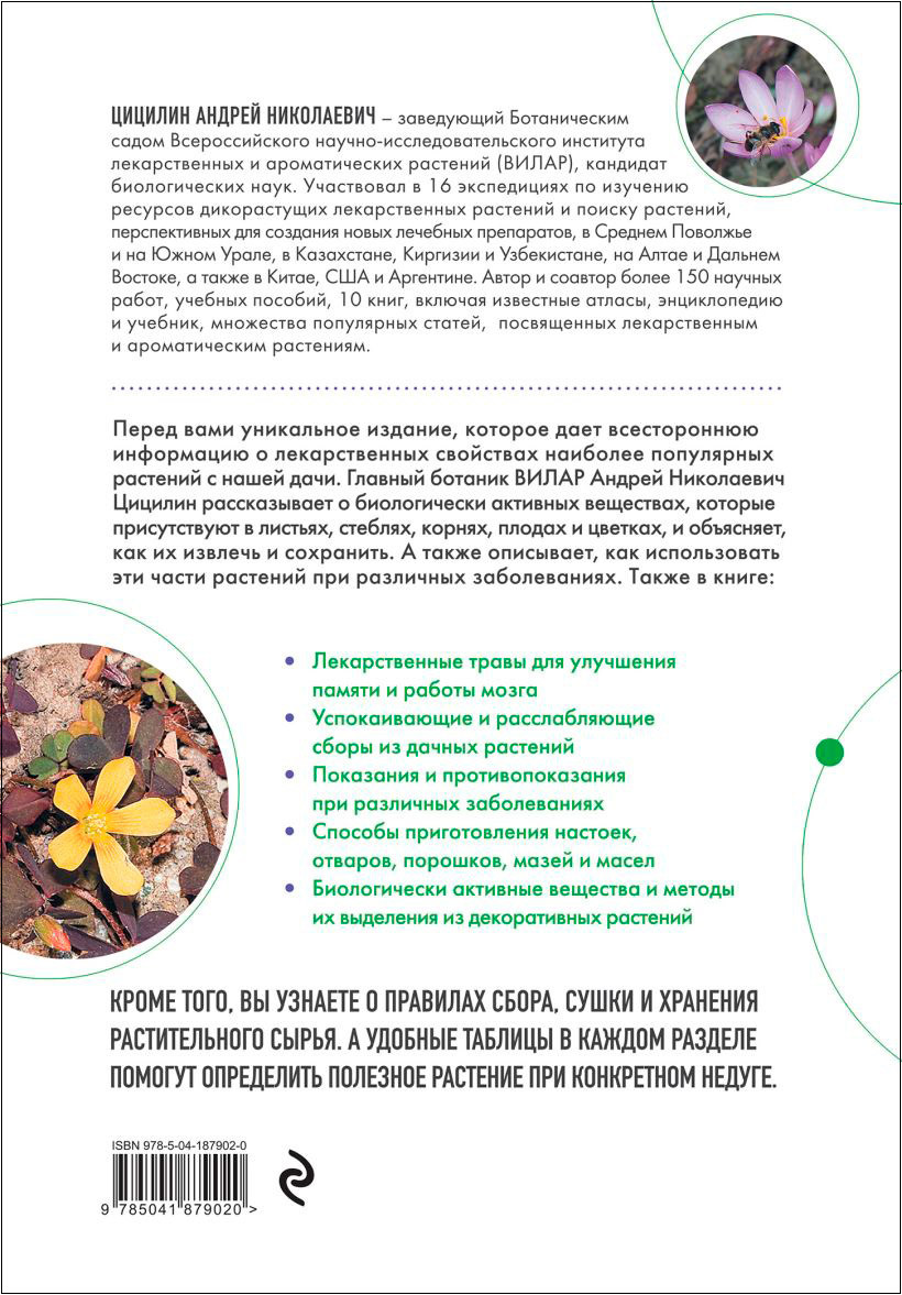 Декоративные лекарственные растения на даче: Как выращивать, заготавливать и применять 200 популярных видов
