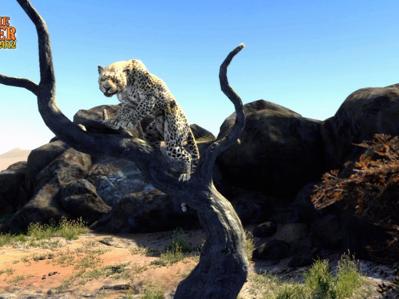 Cabelas Big Game Hunter2012 (PS Move) [PS3]